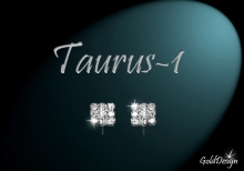 Taurus I. - náušnice rhodium